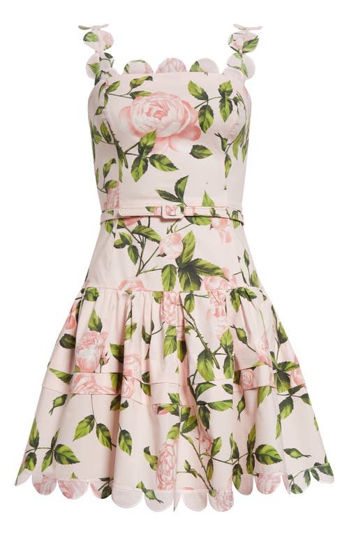 Oscar De La Renta English Rose Print Belted Minidress