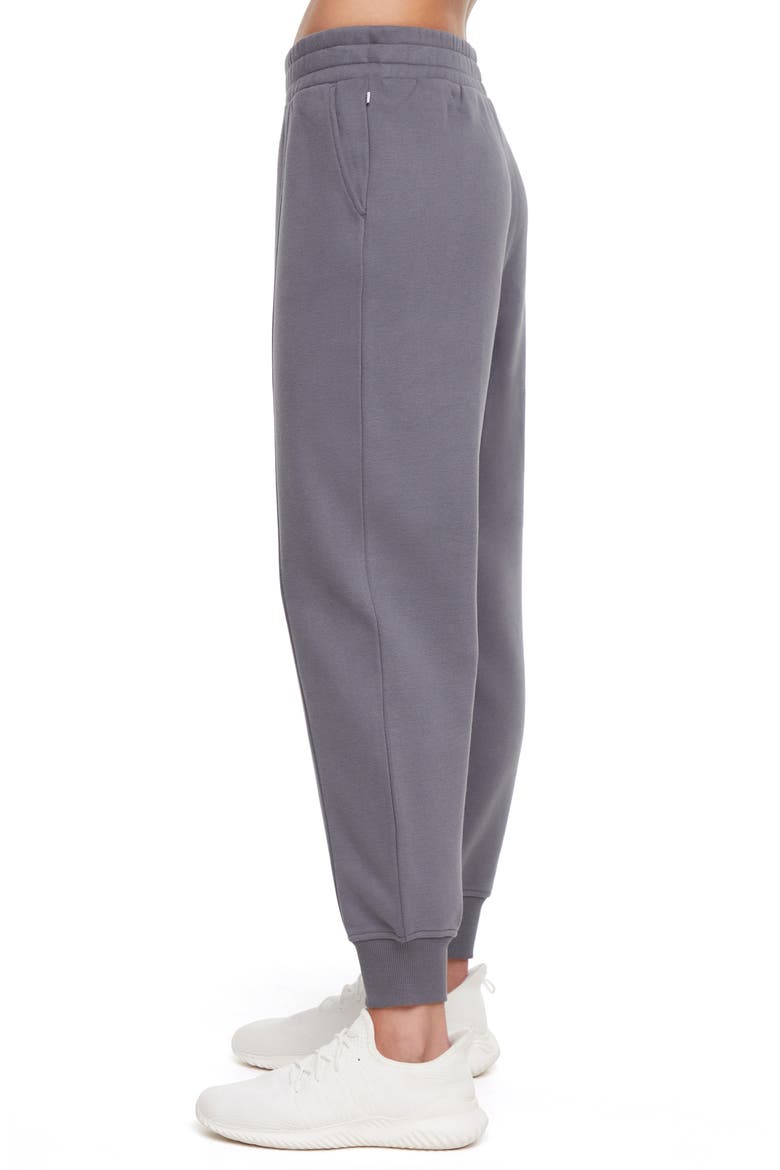 Wren Seamed Joggers, Alternate, color, POPPY SEED