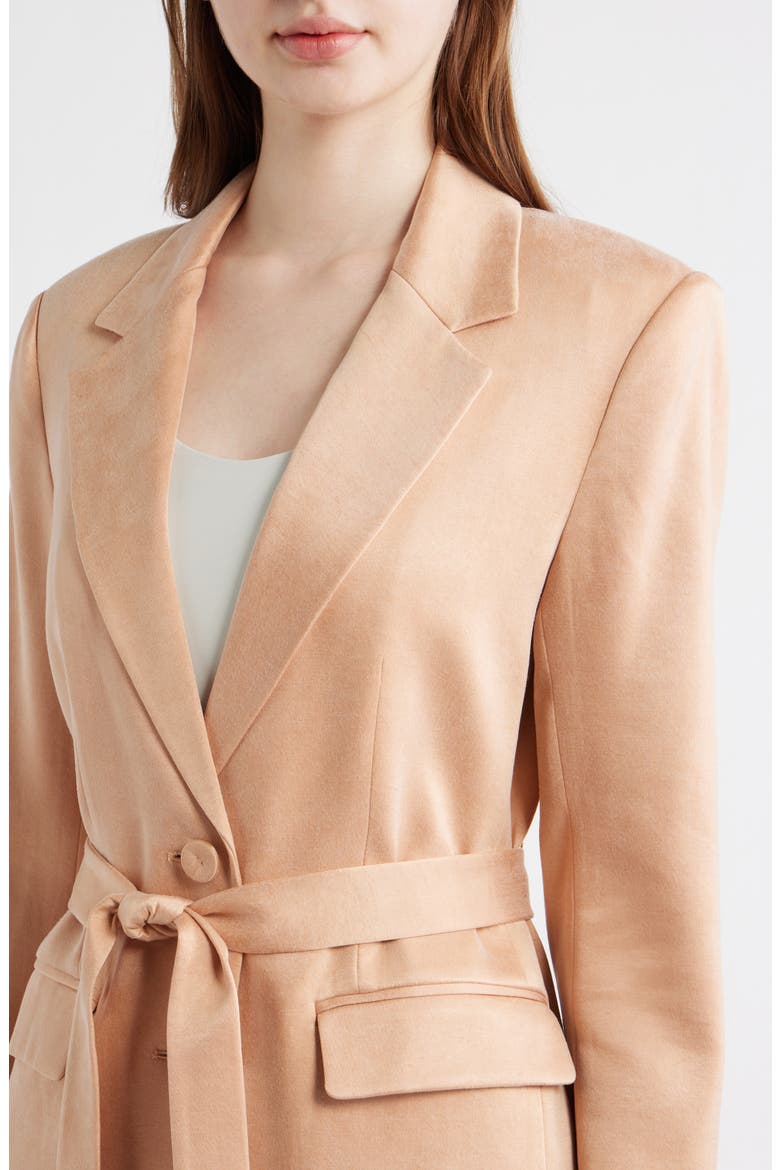Jessi Faux Suede Jacket, Alternate, color, CHAI
