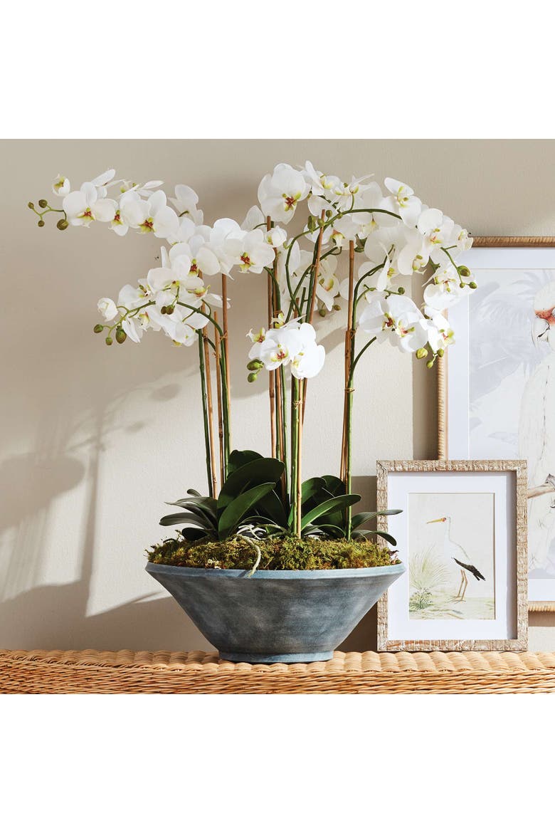 Phalaenopsis Orchid Bowl Drop-In 35", Alternate, color, White