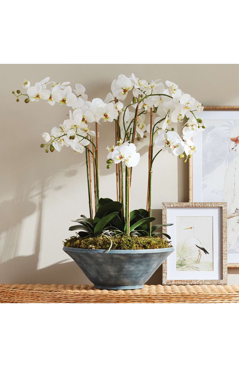 Napa Home & Garden Phalaenopsis Orchid Bowl Drop-In 35", Alternate, color, White