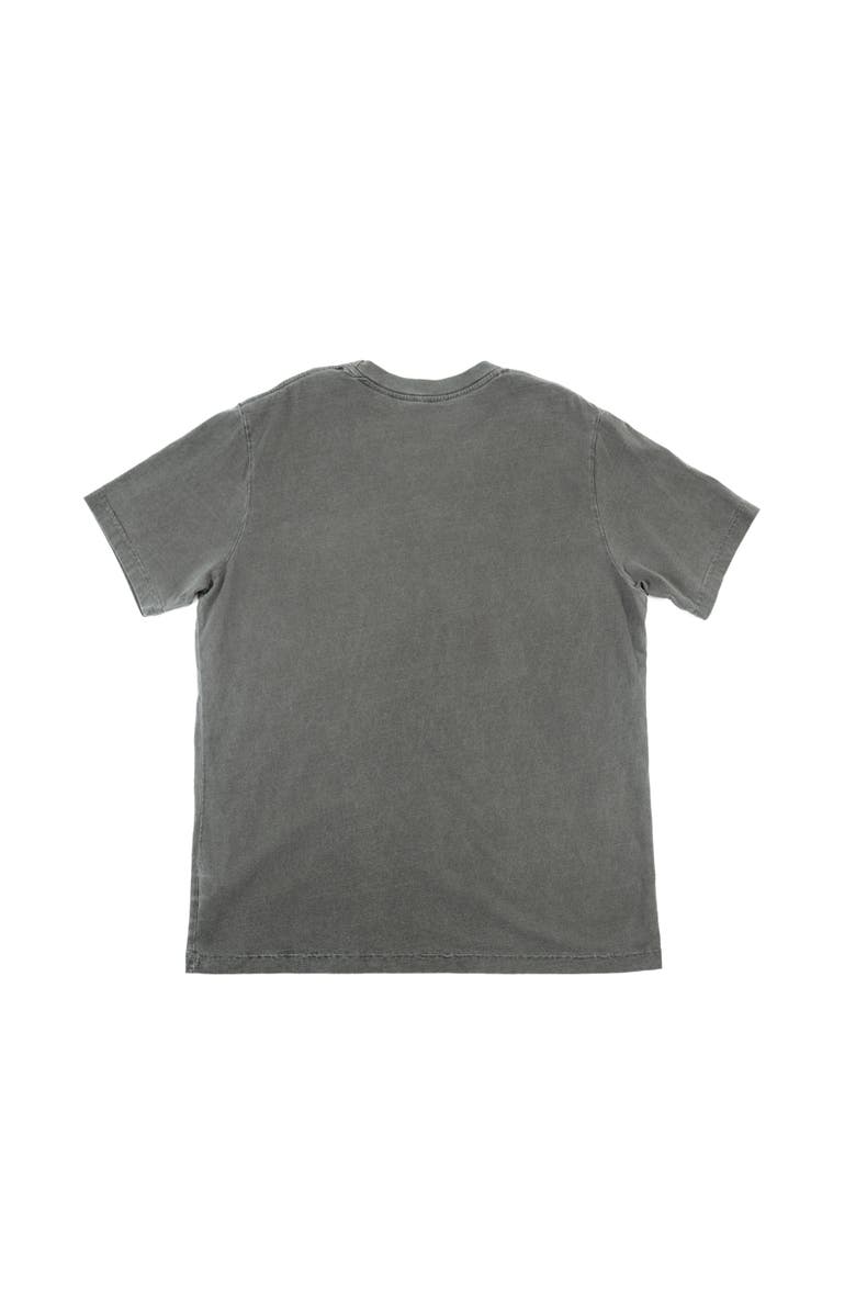 ARIKO Logo Surf T-shirt, Alternate, color, Sea Grey