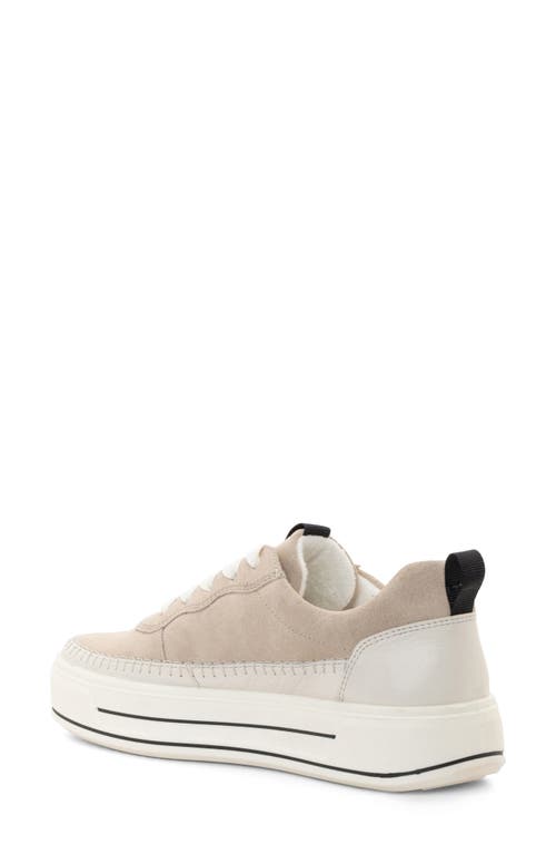 Ara Corsica Platform Sneaker In Cream/shell