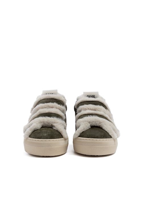 P448 Thea Venice Platform Sneaker In Green