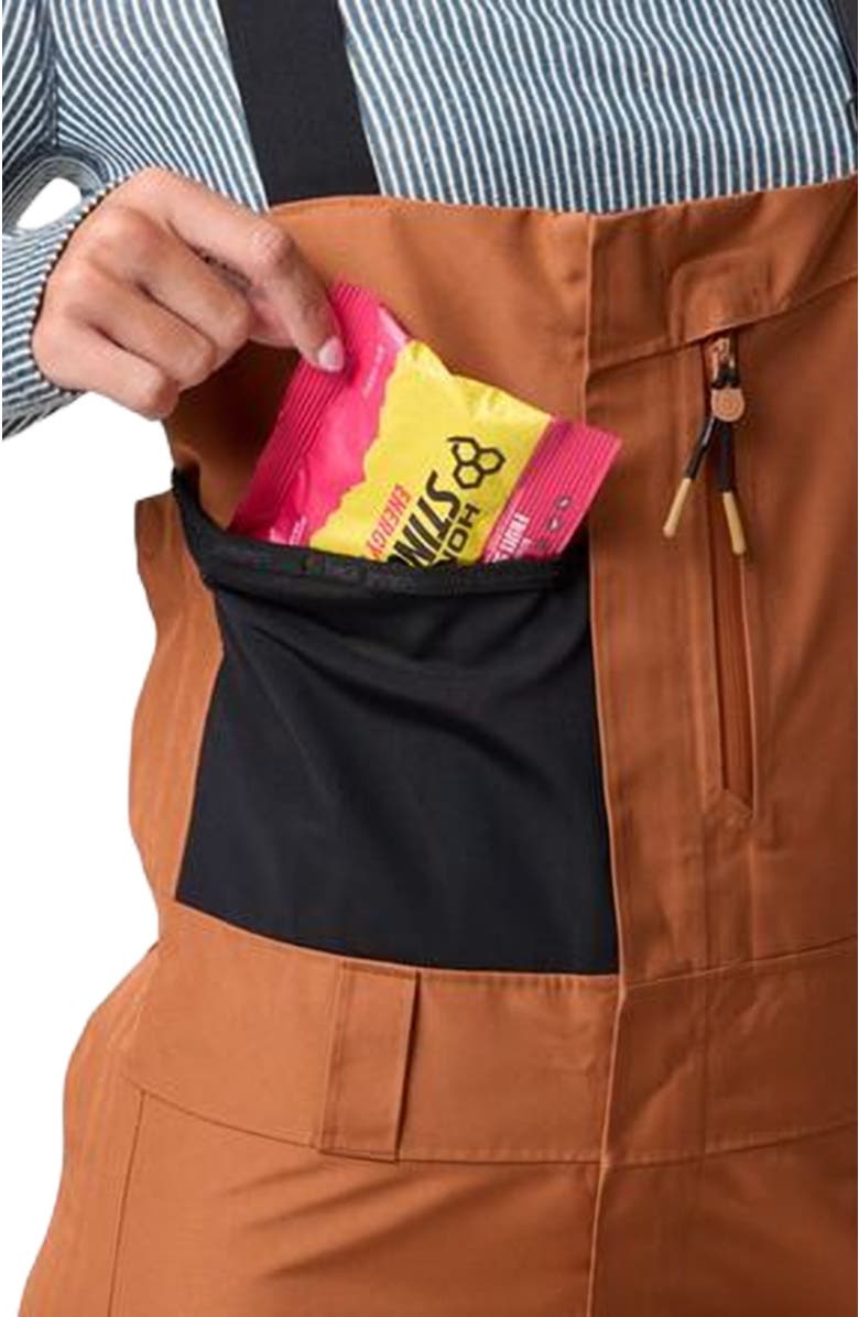 Backcountry Cottonwoods Gore-Tex Shell Bib Pant - Women's, Alternate, color, Sierra