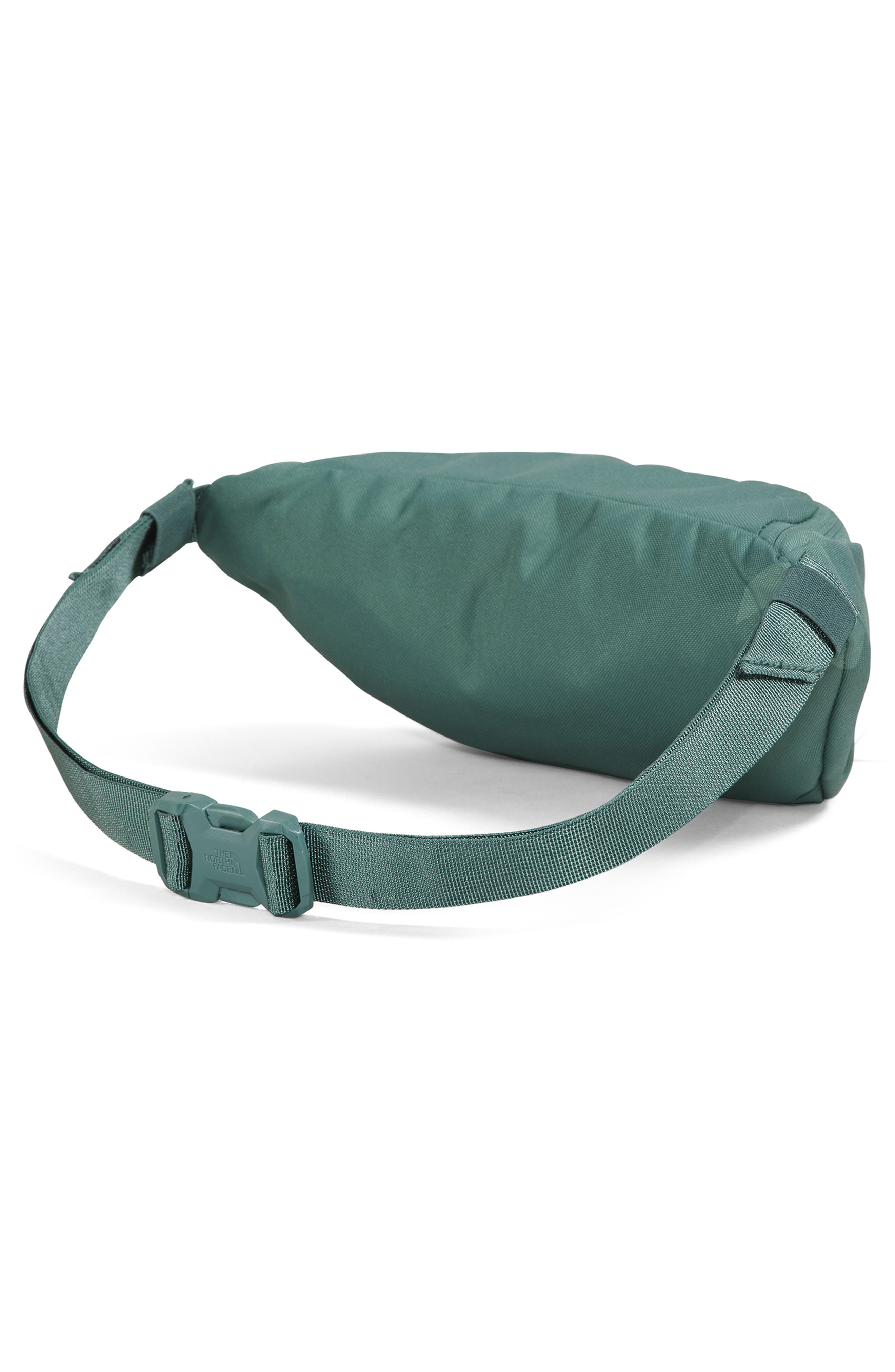The North Face Jester Lumbar Luxe Belt Bag, Alternate, color, 