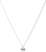 Bearfruit Jewelry Sterling Silver 18k Gold Plated Madeleine Necklace Trendy Dainty Style