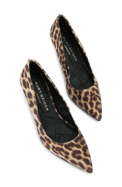 Kurt Geiger London Kensington Leopard Print Flexi Pointed Toe Pump In Open Brown