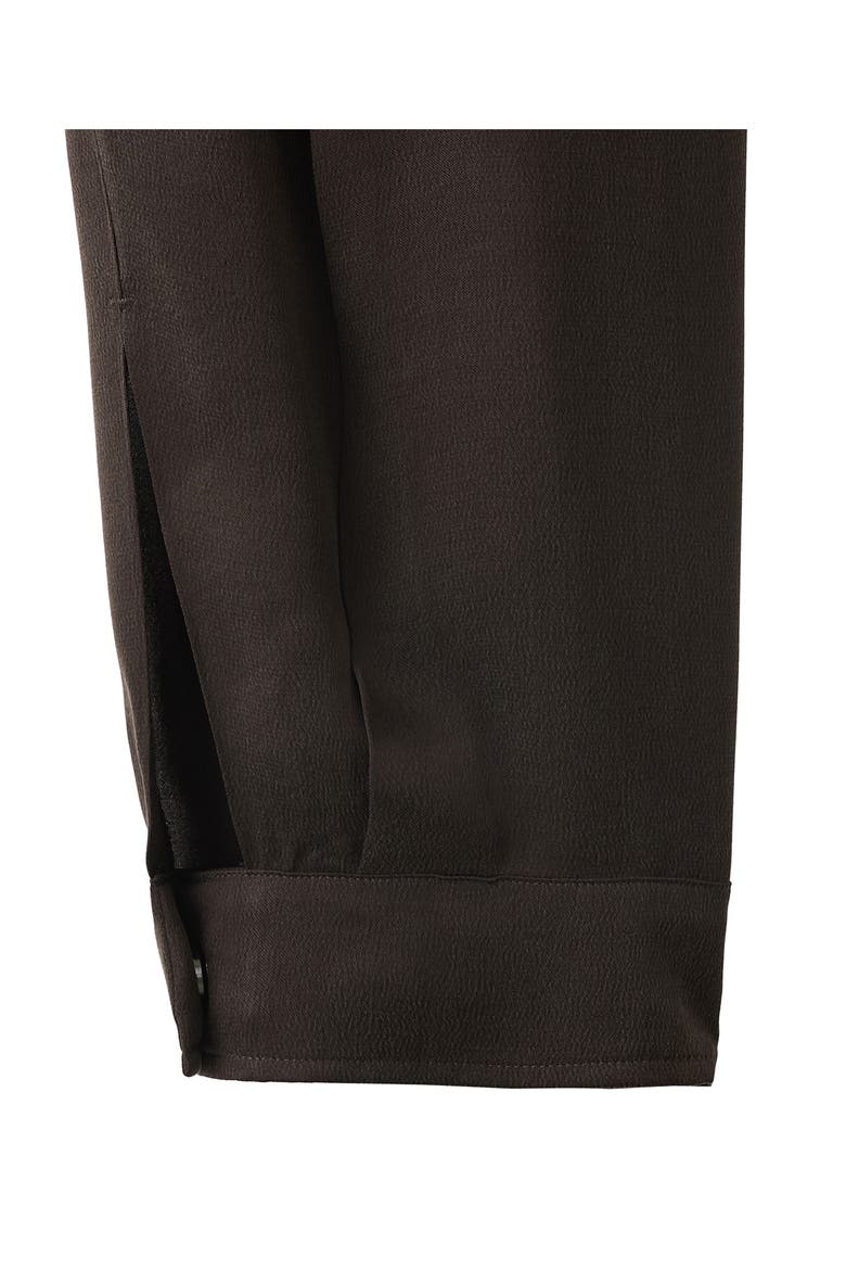 Pleated Baggy Cupro Blend Pants, Alternate, color, CHOCOLATE