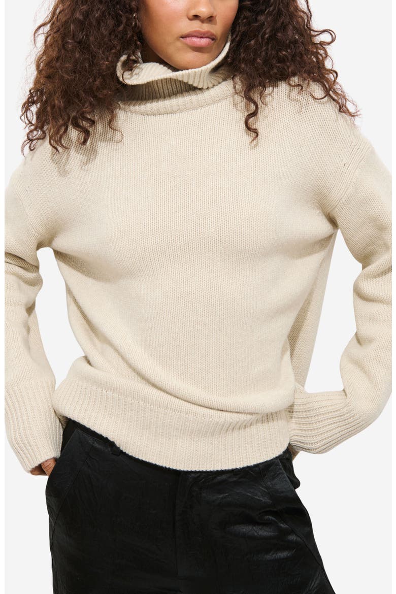 Nottinghill Merino Wool Blend Turtleneck Sweater, Main, color, WISHBONE