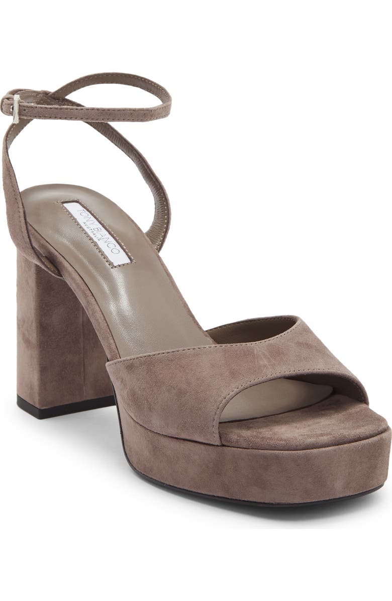 Tony Bianco Freya Ankle Strap Slide Sandals, Main, color, Ashen Suede