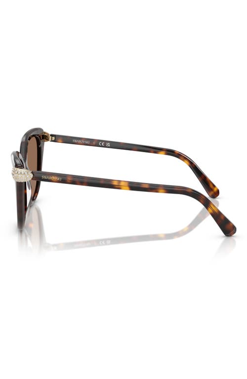 Swarovski Sk6038 Cat-eye Embellished Sunglasses In Havana/dark Brown