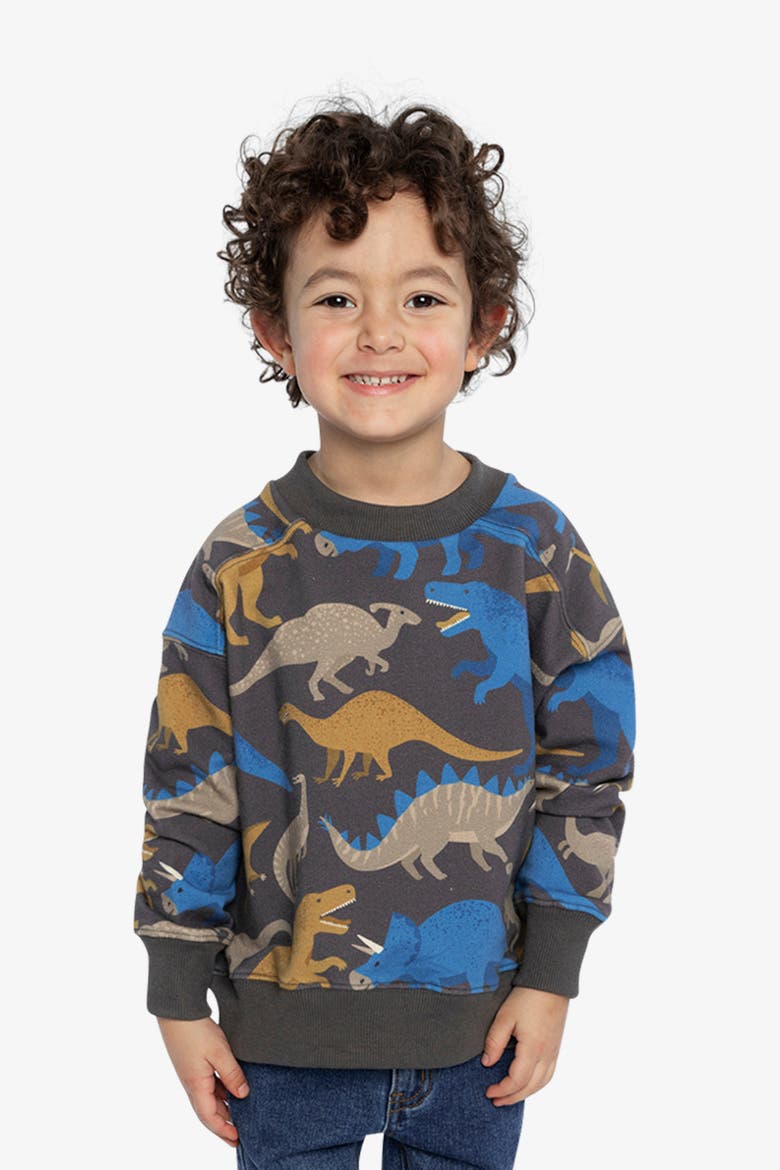 Crew Neck Dinosaur Fleece Sweatshirt, Alternate, color, Grey Dinosaur Print