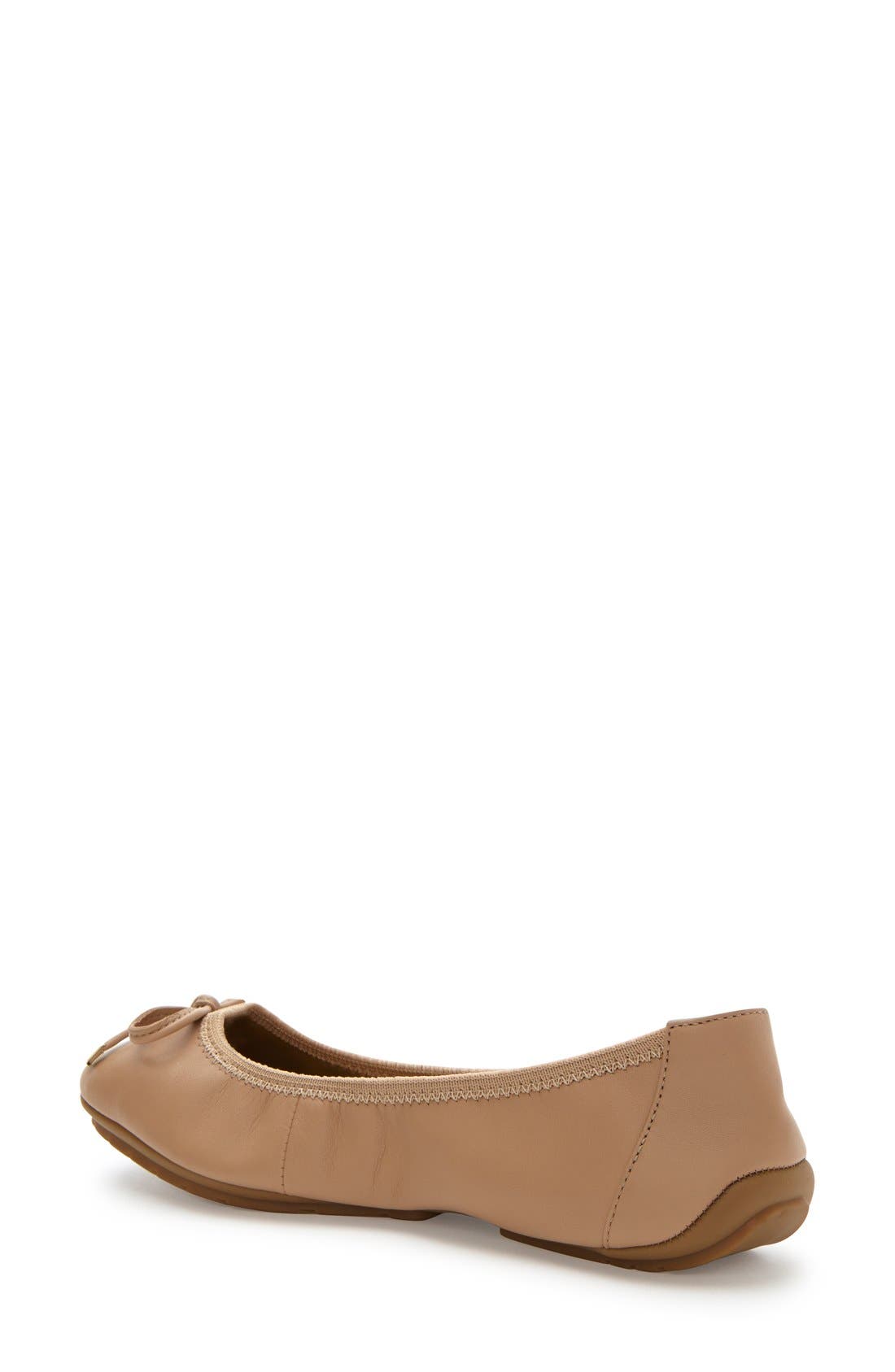 'Halle 2.0' Ballet Flat, Alternate, color, DRIFTWOOD NAPPA LEATHER