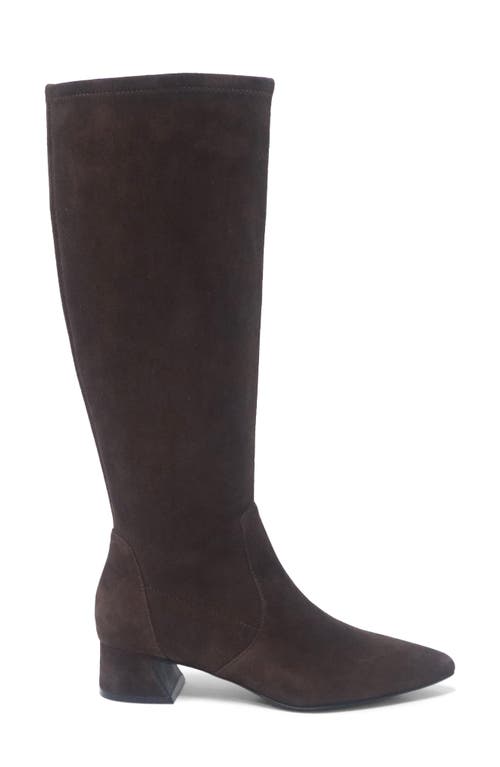 Gentle Souls Gallway Stretch Boot In Brown