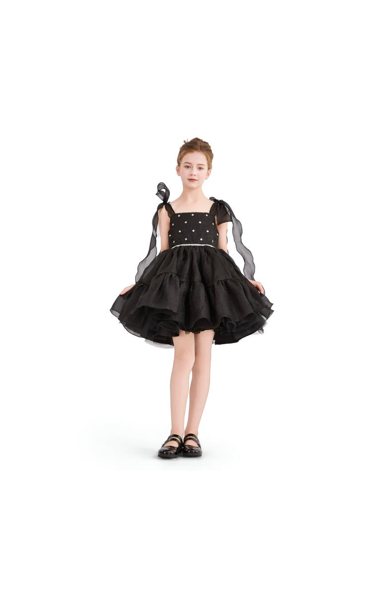 Tulleen Ruffled Party Dress, Alternate, color, Black