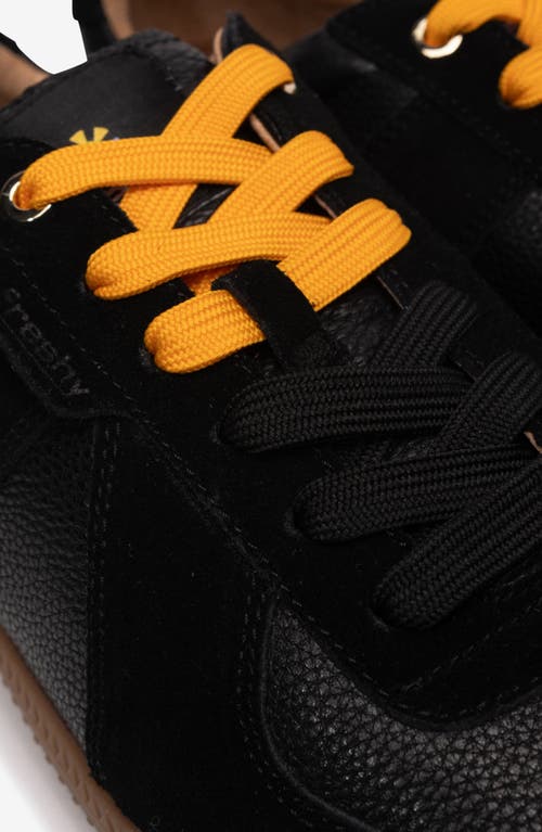 Freshy Indie Nite Sneaker In Black