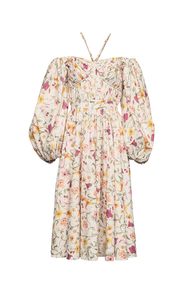 Vasiliki Rosa Dress in Flora, Main, color, Floral