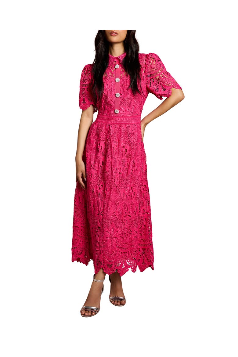 Short Sleeve Collared Lace Midi Dress, Main, color, Raspberry
