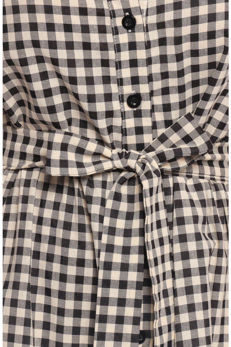 Dixon Gingham Cotton Blend Button-Up Maxi Dress, Alternate, color, BLACK CREAM GINGHAM