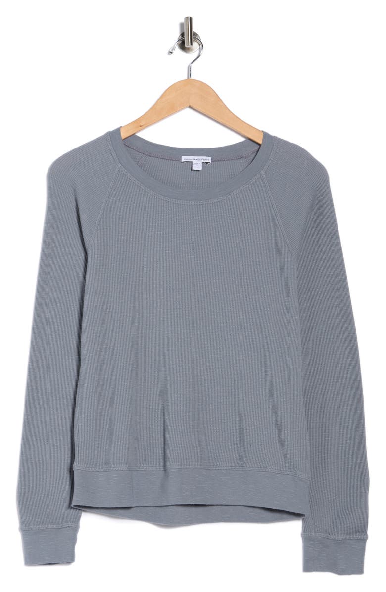 James Perse Relaxed Raglan Sleeve Cotton Pullover, Alternate, color, North