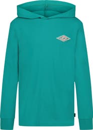 Billabong Kids' Heritage Arch Graphic Hoodie