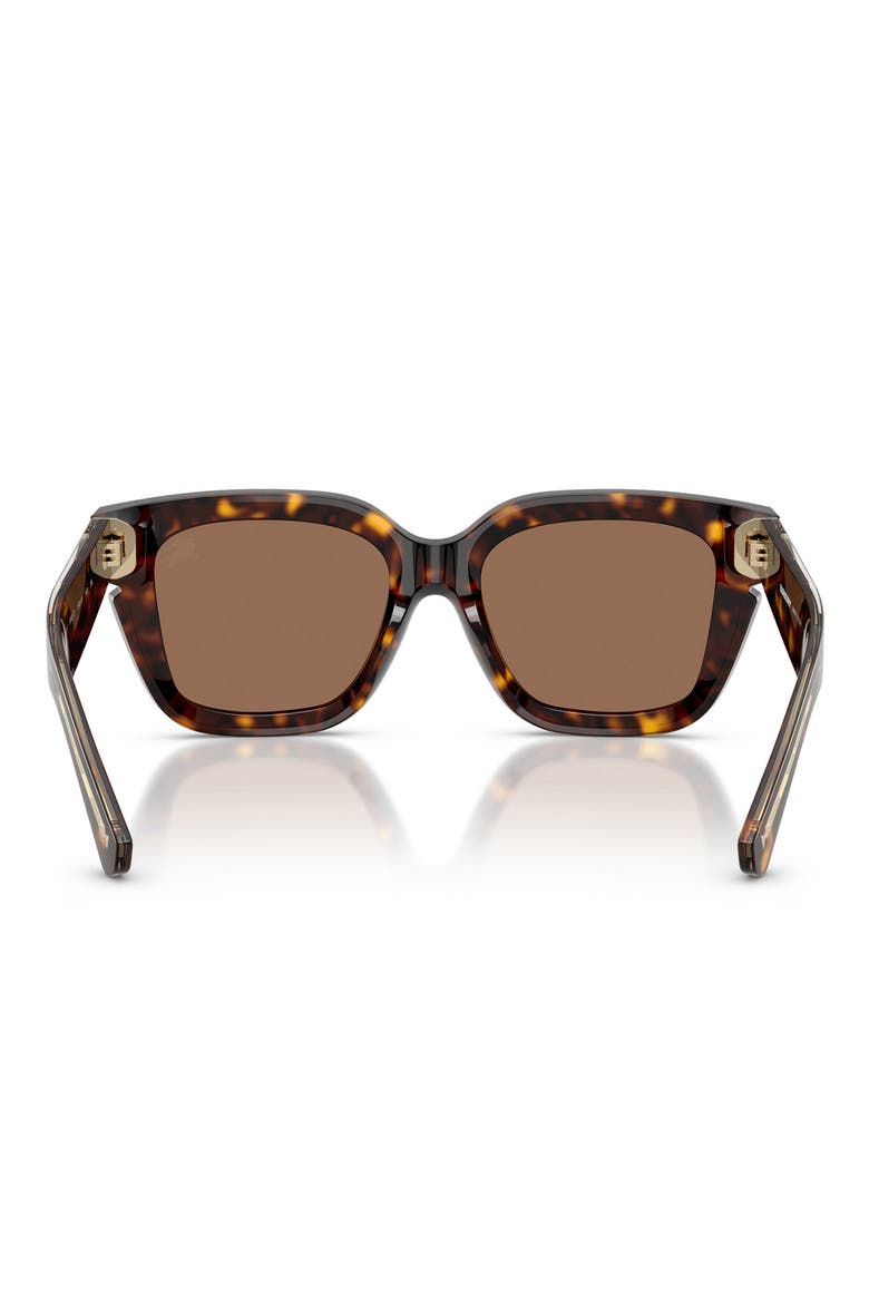 54mm Square Sunglasses, Alternate, color, DARK HAVANA/DARK BROWN