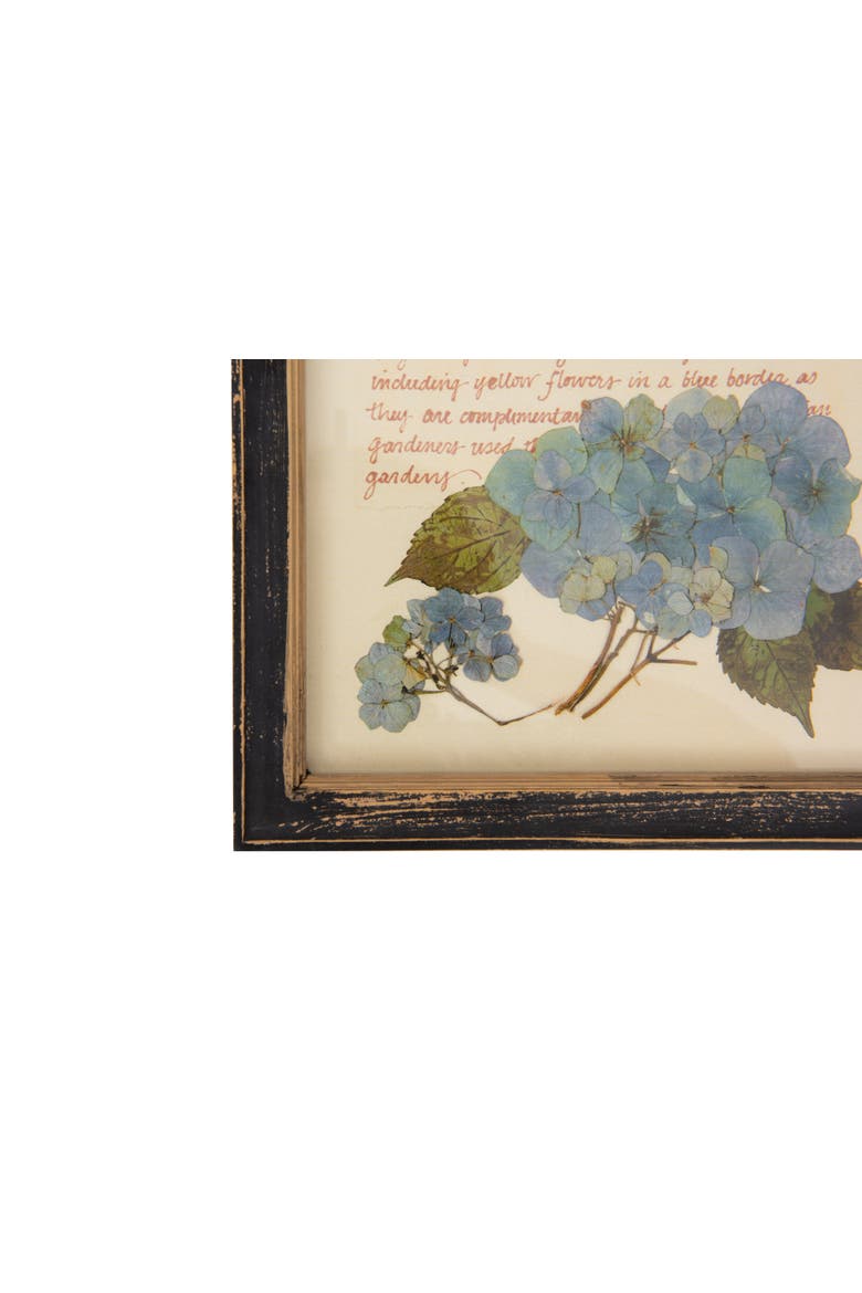 Framed Wall Décor with Floral Images and Information, Alternate, color, Cream
