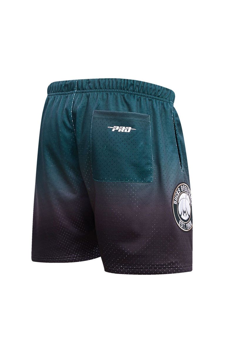 Men's Pro Standard Black/Hunter Green Milwaukee Bucks Ombre Mesh Shorts, Alternate, color, Purple