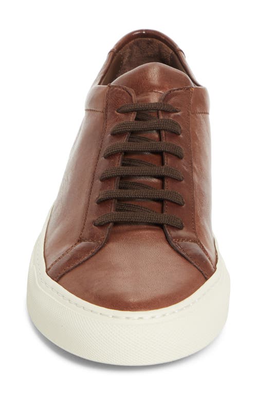 Common Projects Achilles Sneaker In Brown