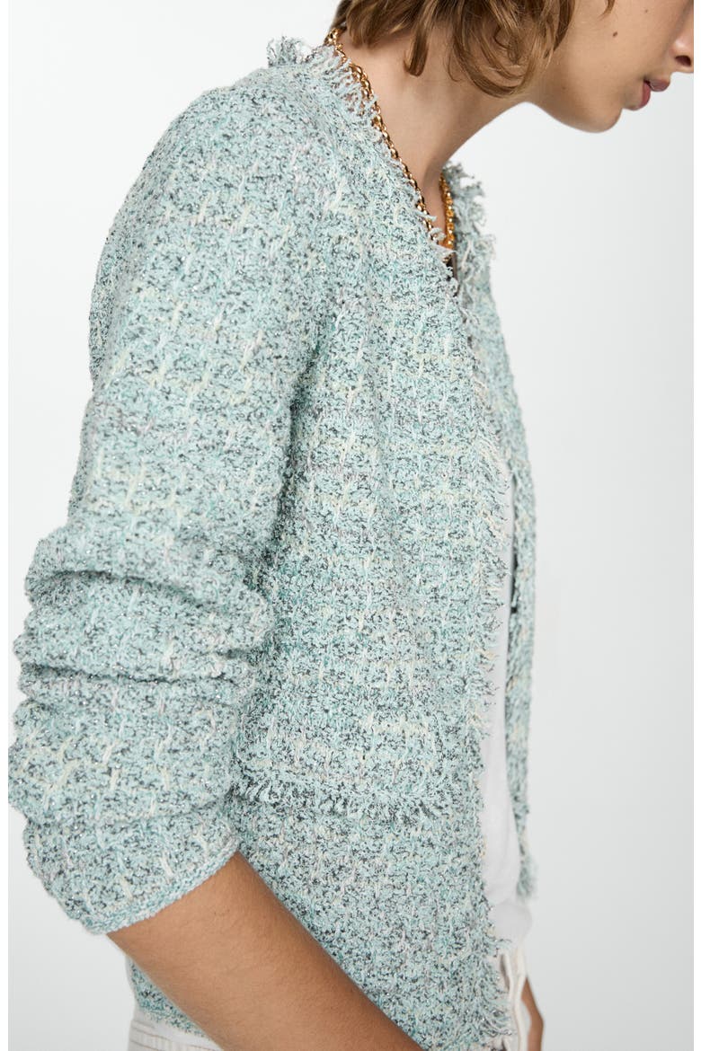 Fringe Trim Tweed Jacket, Alternate, color, AQUA GREEN