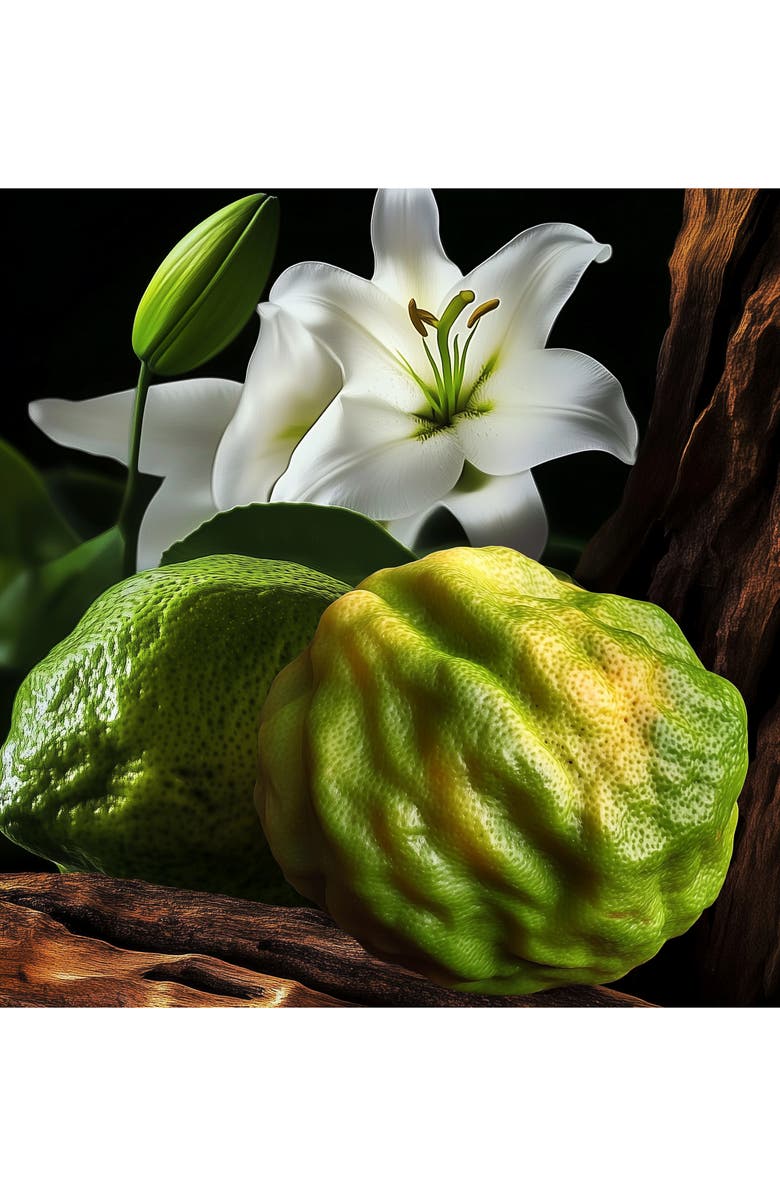 House of Sillage x Harry Potter Hogwarts Ravenclaw Parfum, Alternate, color, 