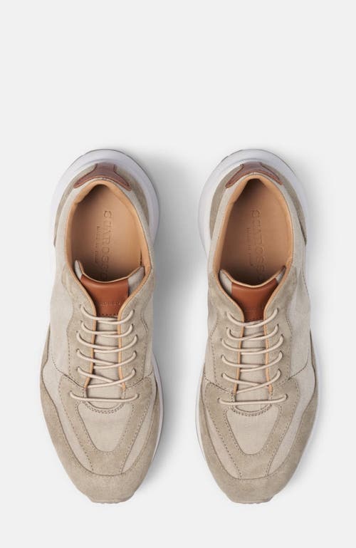Scarosso Achille Sneakers
