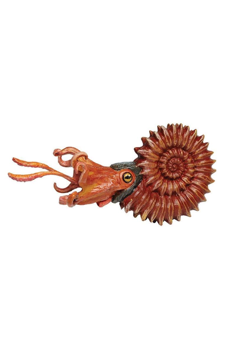 Safari Ltd. Ammonite Toy, Main, color, NO COLOR