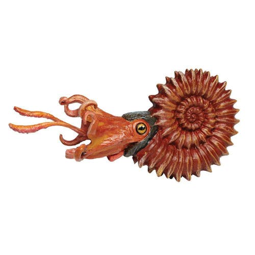Safari Ltd. Ammonite Toy  product