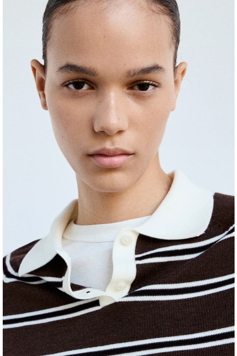 Striped Polo Collar Sweater, Alternate, color, CHOCOLATE