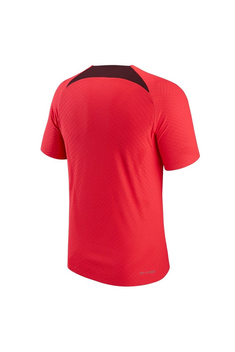 Men's Nike Red Liverpool Advance Strike Raglan Performance Top, Alternate, color, Red