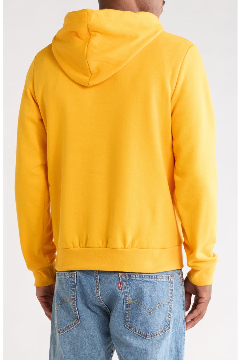 Evolution Simple Dome Graphic Hoodie, Alternate, color, SUMMIT GOLD