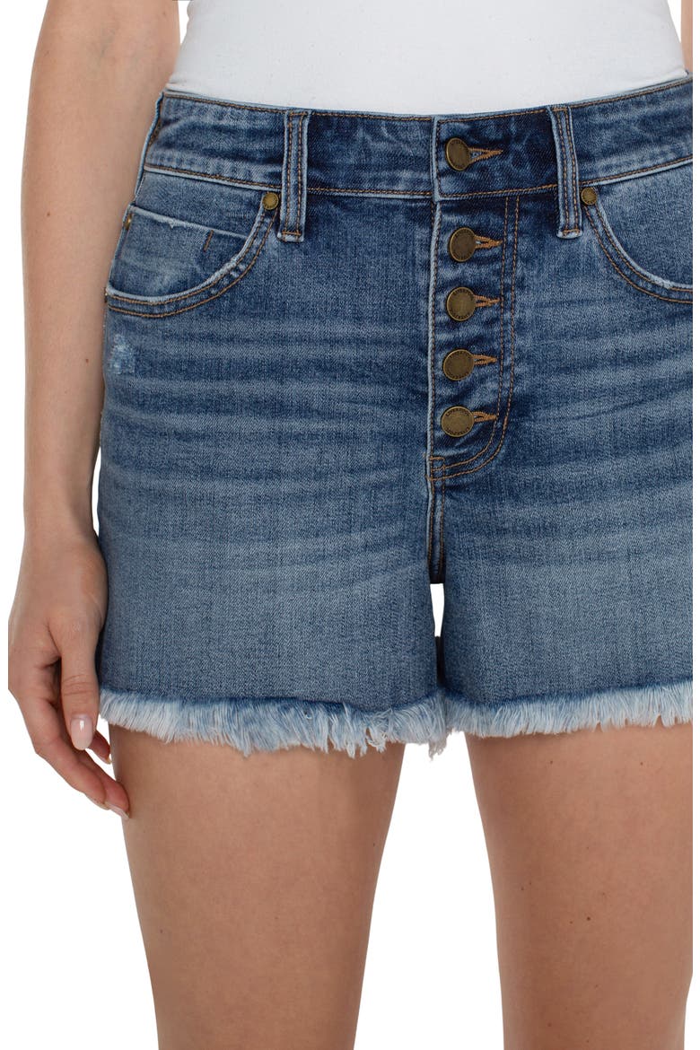 Christine Exposed Button Fly High Waist Cutoff Denim Shorts, Alternate, color, CLAYMONT