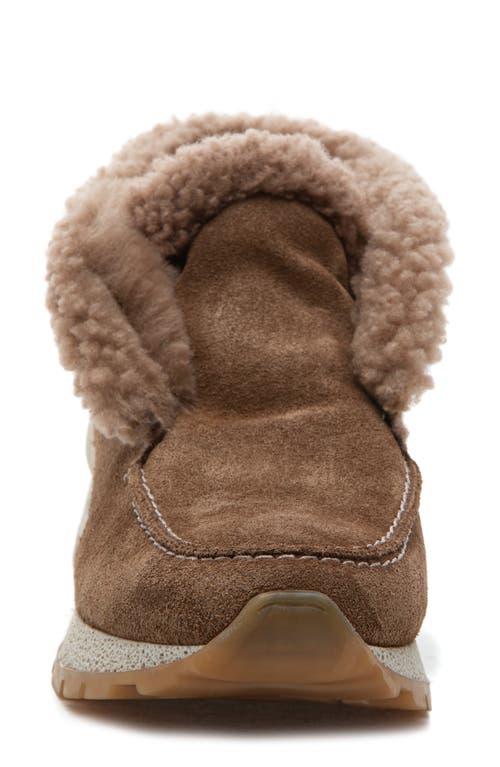 275 Central Quinn Genuine Shearling Lined Sneaker Boot In Brown
