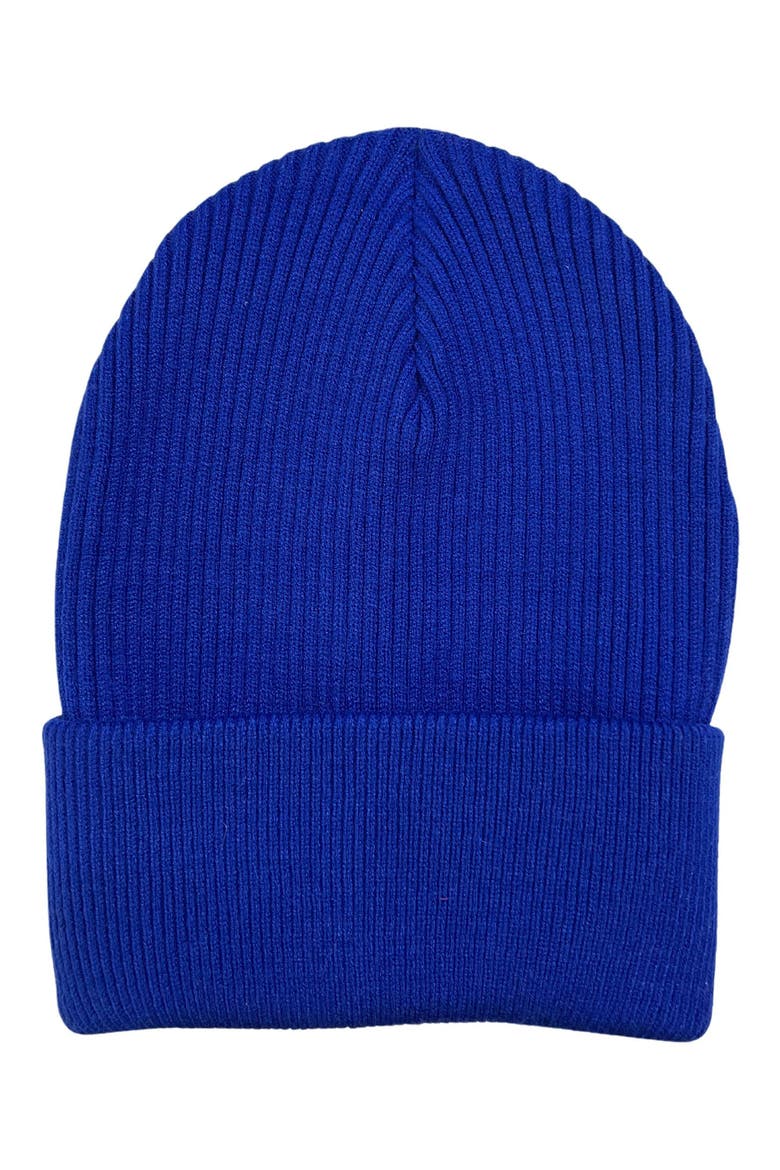 Rib Knit Cuff Beanie, Main, color, COBALT BLUE