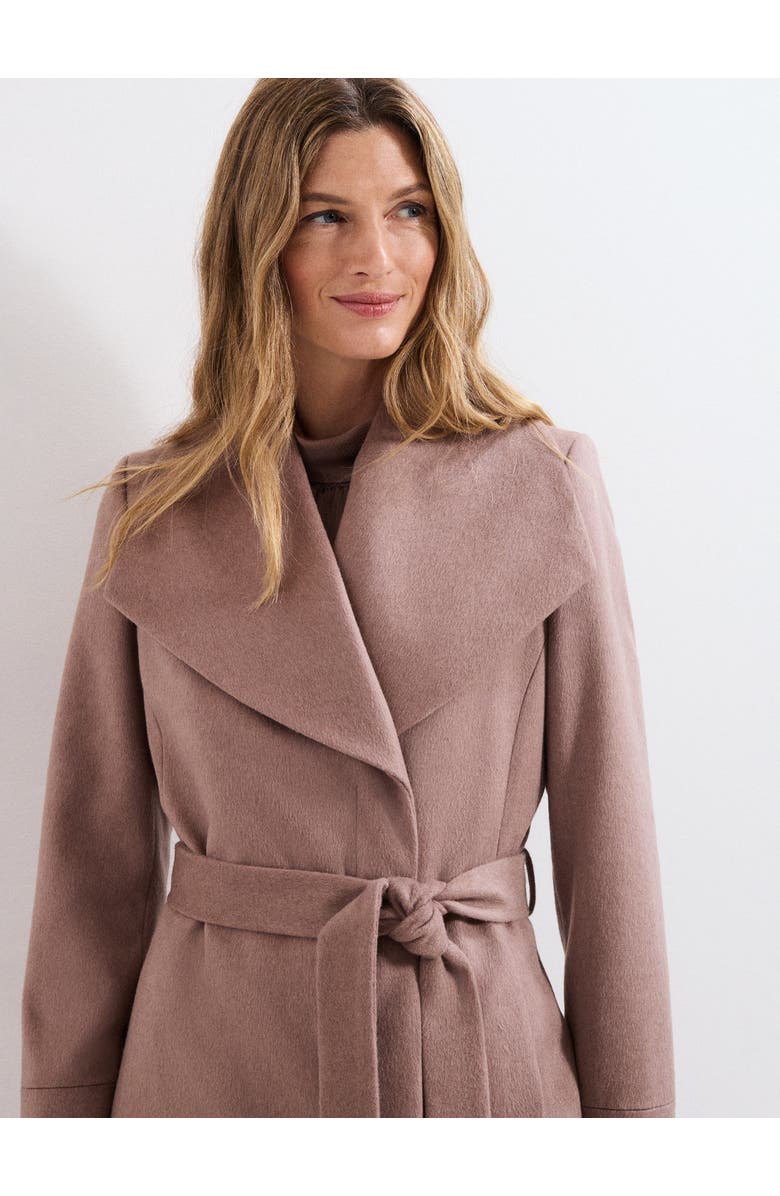 Phase Eight Nicci Wool Coat, Alternate, color, Neutral