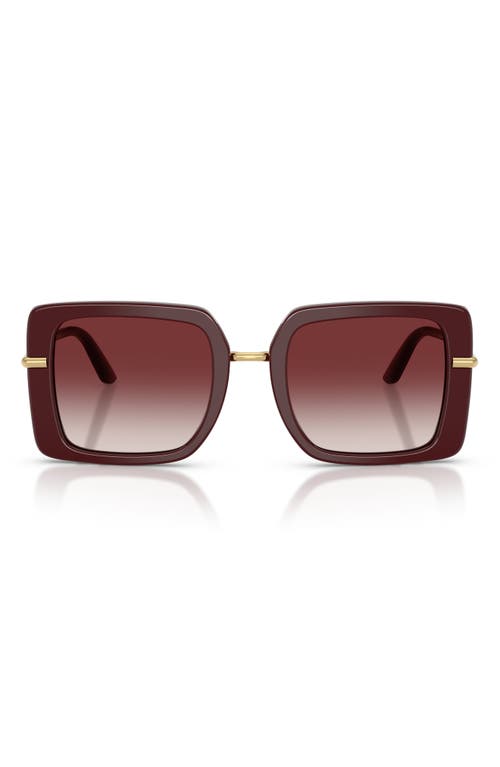 Dolce & Gabbana Dolce&gabbana 52mm Gradient Square Sunglasses In Bordeaux