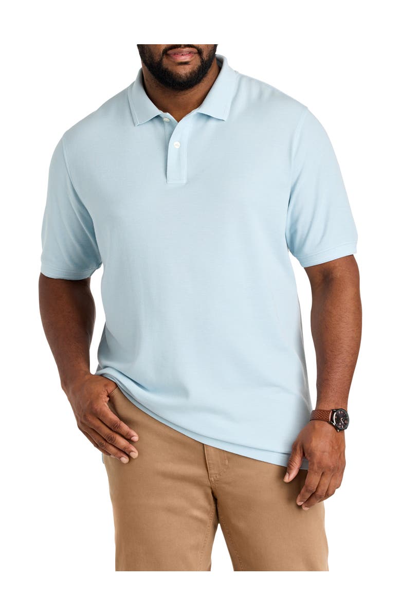 True Nation by DXL Big & Tall Garment-Dyed Polo Shirt, Main, color, Forget Me Knot