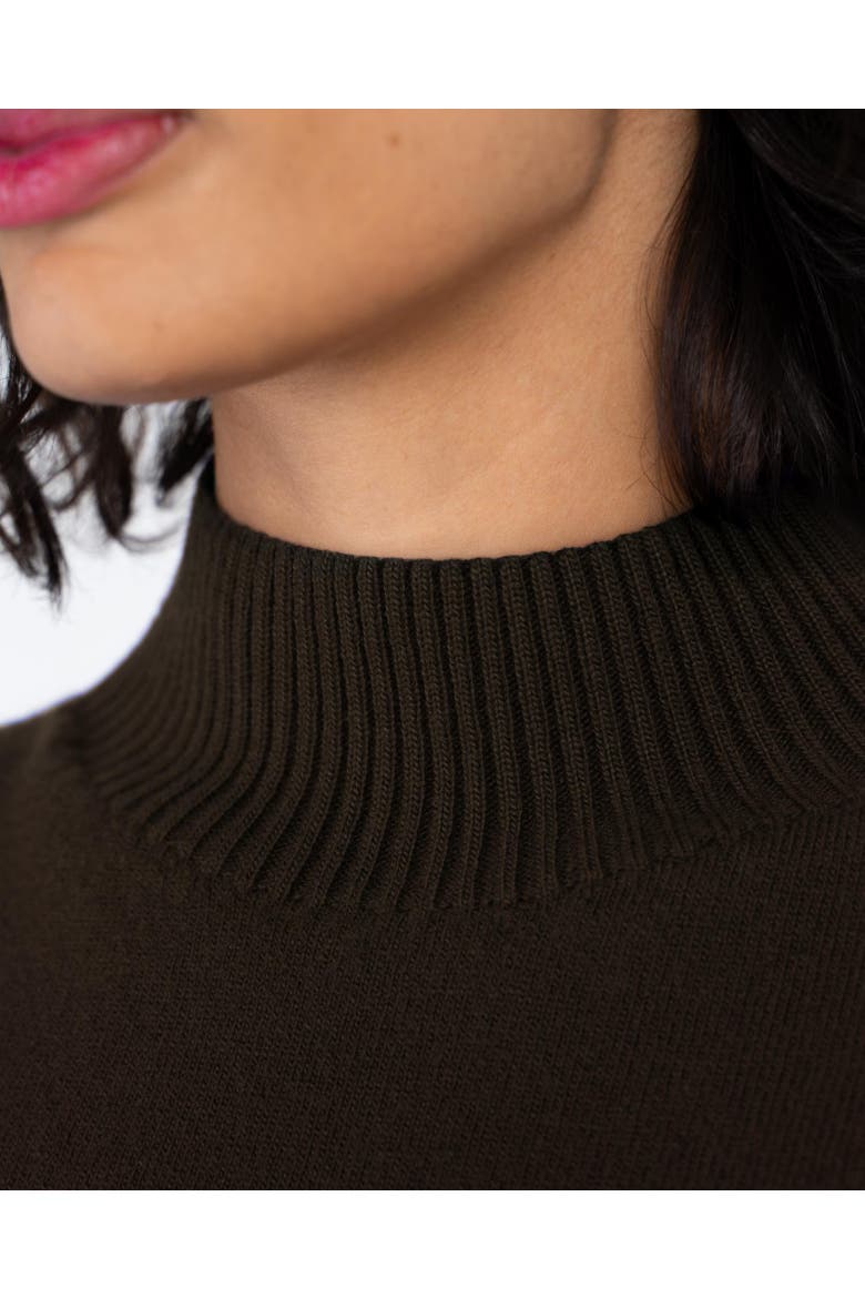Turtle Neck Knitted Dress, Alternate, color, Chocolate