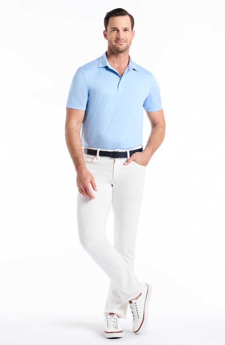 Robert Graham Canto Knit Polo, Alternate, color, Chambray