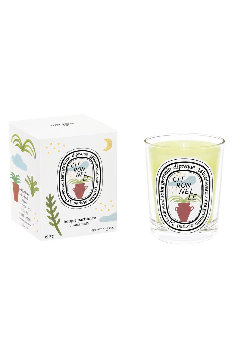 Diptyque Citronelle (Lemongrass) Scented Candle, Alternate, color, 