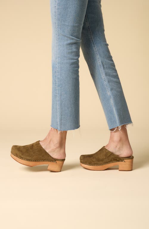 Charlotte Stone Martino Platform Clog In Green