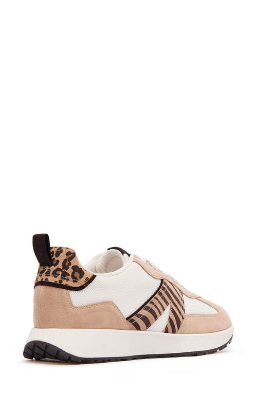 Frankie4 Axel Ii Sneaker In Multi