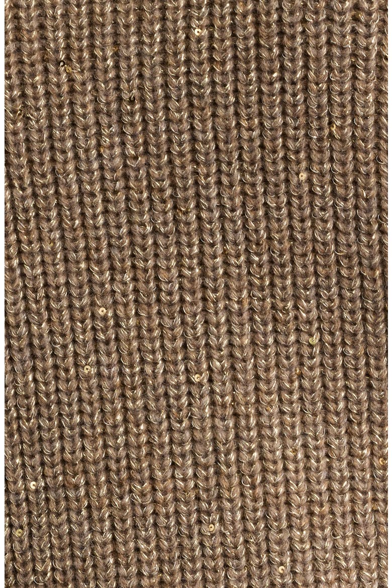 Kimberly Sequin Raglan Sleeve Sweater, Alternate, color, TOFFEE